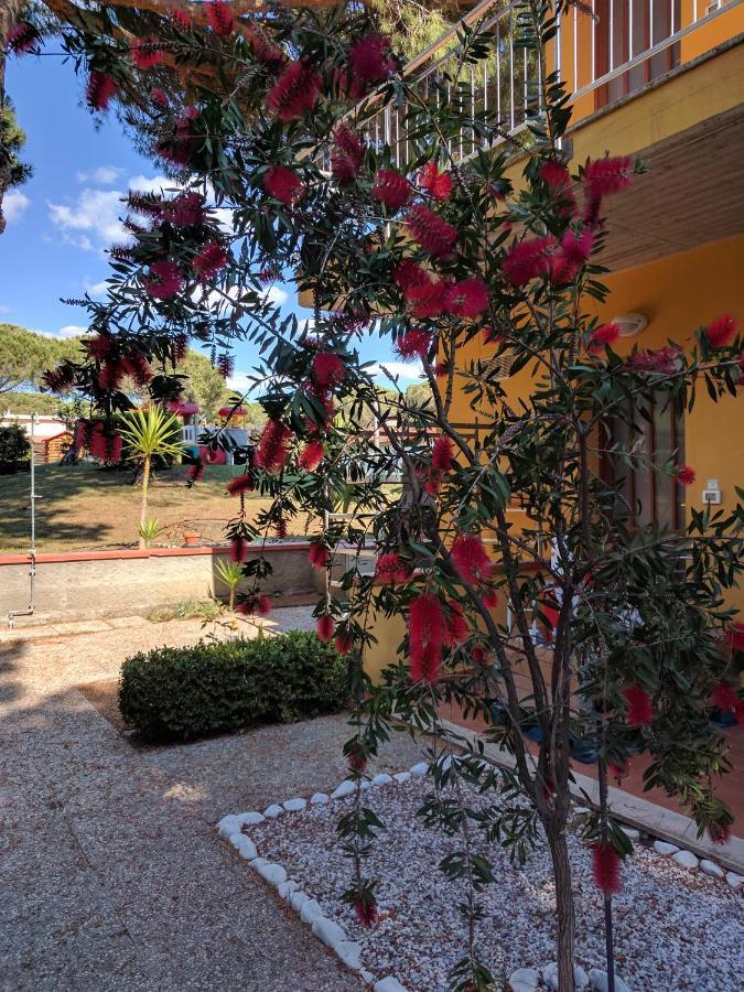 Residence Le Rose Marina Di Bibbona Luaran gambar